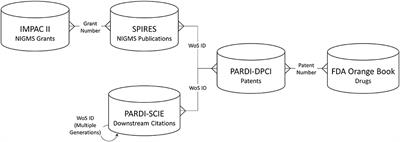 Tracing Long-Term Outcomes of Basic Research Using Citation Networks